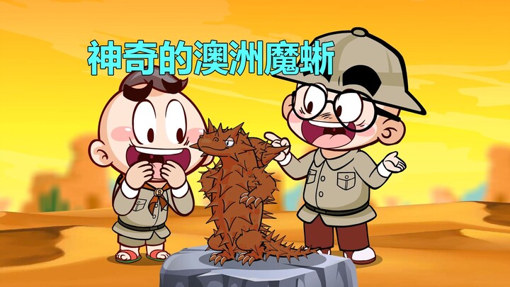 【唐唐】涨知识！澳洲魔蜥的反差感
