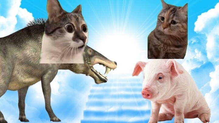 When animal ancestors met their descendants