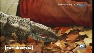 Endlings Tagalog Episode 14 P4