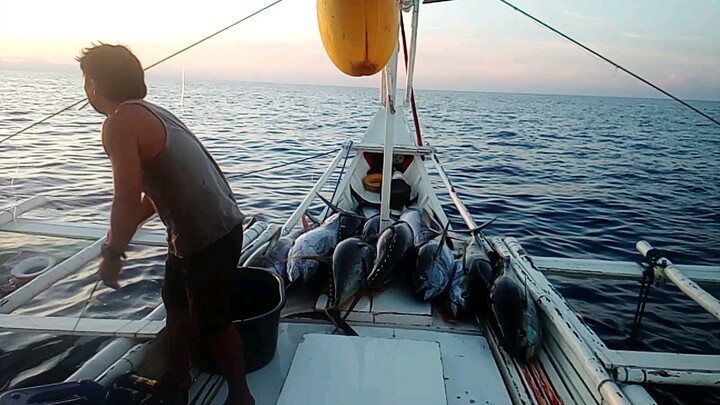 Buhay magdaragat ,, Yan Ang hanap Buhay sa sablayan occidental Mindoro ♥️ blessing tuna.