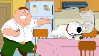 【Family Guy】Doggy Style S13E15-1