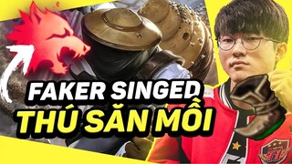 RANK VIỆT SẮP KHÔNG ỔN RỒI!? FAKER VỚI META MỚI SINGED THÚ SĂN MỒI KHUẤY ĐẢO TRỜI TÂY | HÀ REACTION