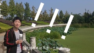 华中某大学新概念草地