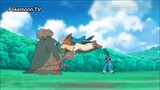 Pokemon Sun & Moon (Ep 32.3) Cuộc đua Murando Truy tìm (Phần 3): Suiren & Murando #PokemonSun&Moon