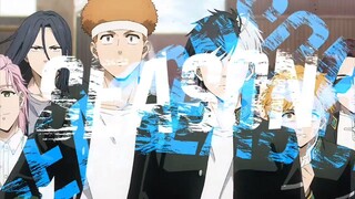 Trailer Wind breaker S2