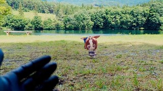 【赛马娘】小怒涛快过来