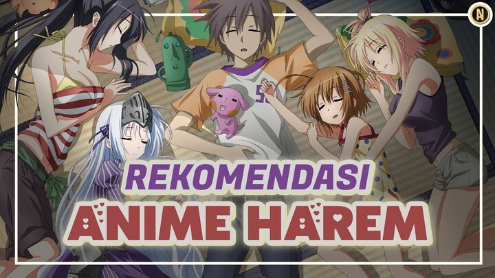 10 rekomendasi anime harem terbaik
