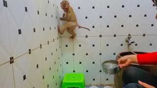 Very Amusing!! OMG, Wow little Yaya doesn't want to take a bath jumping to the wall many times