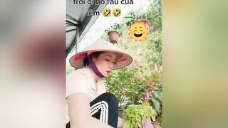 hàihướcvuivẻ Em mến chúc cả nhà buổi tối vui vẻ 💐💐💞