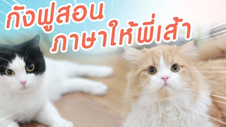 Theycallmemeaow กังฟูสอนภาษาให้พี่เส้า