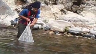 Cast Net Fishing in Nepal | Himalayan Trout Fishing in Nepal | Asala Fishing |