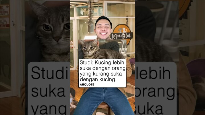 Kucing lebih suka sama orang yang gak suka dia? Kamu suka kucing ga? #shorts