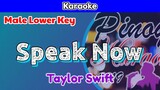 Speak Now by Taylor Swift (Karaoke : Male Lower Key)
