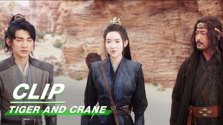 Everyone is willing to believe Hu Zi | Tiger and Crane EP34 | 虎鹤妖师录 | iQIYI