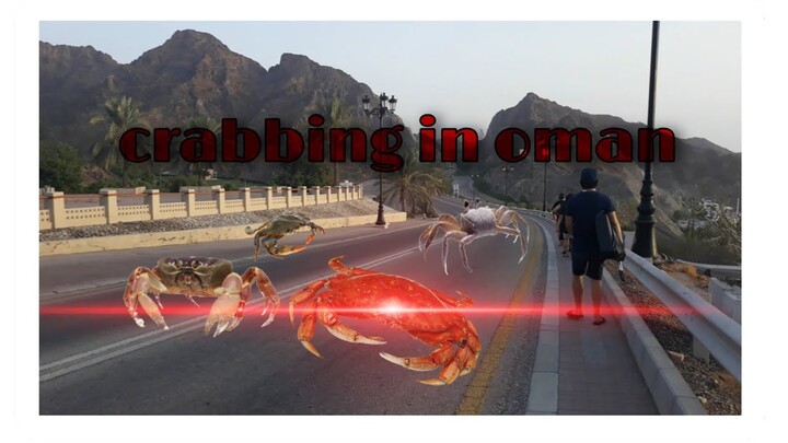 Crabbing (,Nghuli  ng alimango  , bluecrab) part 1