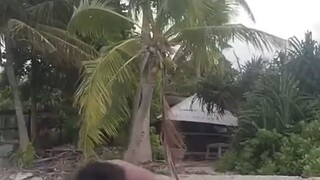 negara paling santuy#zaintemanime #fyi #tokelau #country #reaction #reactionvideo #fyp #jowo #wongjo