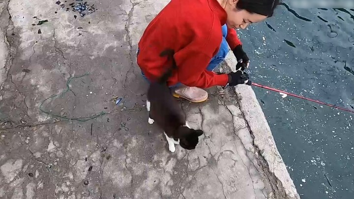 Kucing yang sering saya beri makan saat memancing ternyata memanggil anak-anaknya untuk keluar dan m