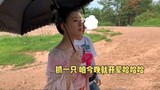 [Chen Qianqian yang dikabarkan di balik layar] Putri ketiga mengejar bebek