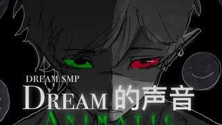 【Dream SMP自制动画/中文字幕】Dream的声音- Ranboo的恐慌房间 [DropsteR]