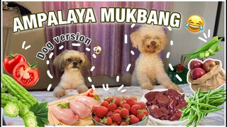 PAANO KO SILA PINAKAIN NG GULAY AT PRUTAS? SHIH TZU VS TOY POODLE | DOG MUKBANG | SINO MAS MATAKAW?