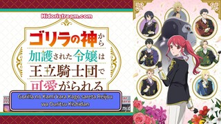 EPS 6 SUB INDO Gorilla no Kami kara Kago sareta Reijou wa Ouritsu Kishidan de Kawaigarareru