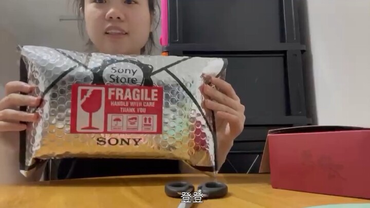 新加坡🇸🇬 | 开箱 | 相机新手 | Sony ZV-1  | 一周年礼物