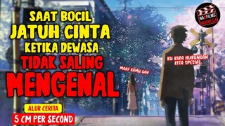 KETIKA BOCIL JATUH CINTA, KETIKA DEWASA TIDAK SALING MENGENAL‼️ Alur Cerita - 5 Cm Per Second (2007)