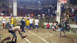 3rd fight WIN 3cock derby orani coliseum WDW 1/17/25