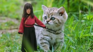 kucing comel