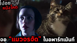 แมวผี l MEOW l สปอยหนังโหด