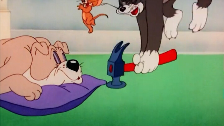 Spike chỉ muốn ngủ yên nhưng bị Tom và Jerry quấy rầy