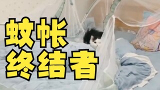 和猫猫睡觉的一晚8