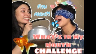 What's in my mouth challenge | cath&waldy
