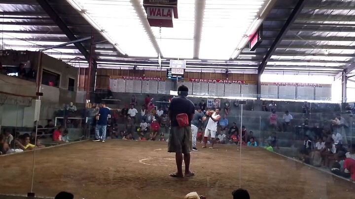 2 hits ulutan CHAMPION💪 (2nd fight)