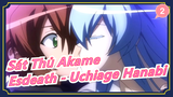 [Sát Thủ Akame] Esdeath - Cô gái xinh đẹp và mạnh mẽ - 'Uchiage Hanabi'_2