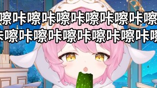 【Kami】Turtle chewing cucumber 10 minutes pure enjoyment version