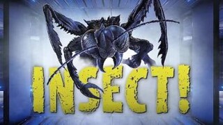 insect