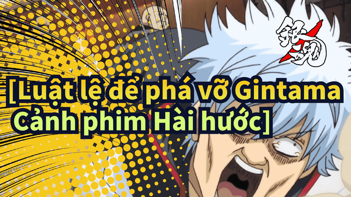 [Luật lệ để phá vỡ Gintama Cảnh phim Hài hước] Không có lí do gì để mà tống tiền cả