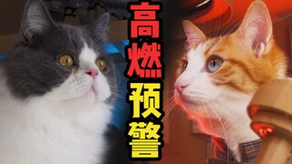 【夺宝奇喵2】两  猫  大  战， 结  尾  超  燃 ！