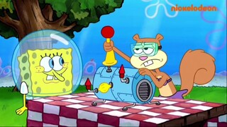 spangebob squarepants - Sandy's Nutty Nieces |Malay Dub|