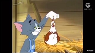 TOM AND JERRY CHẾ Khi tom nuôi hà 👀👀