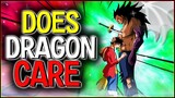 Does Dragon ACTUALLY Care About Luffy?! - One Piece | B.D.A Law