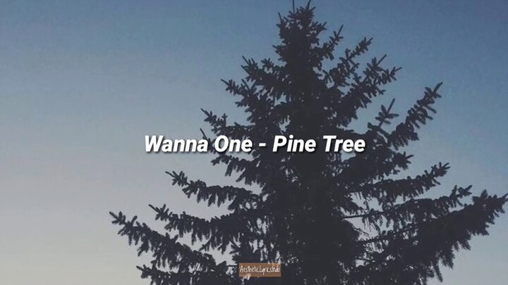 WannaOne - Pine Tree 소나무 (Indo lyrics)