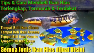 Cara & Tempat Membeli Ikan Hias Terlengkap Dan Termurah