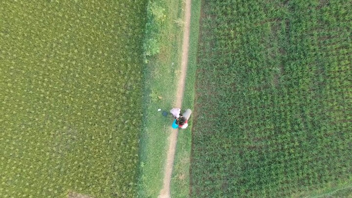 dji spark view