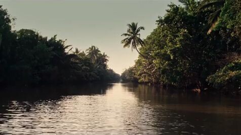 Boi (Thai Movie)