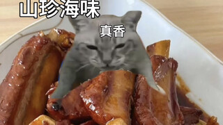 猫咪身无分文的生活