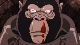 One Punch Man: This gorilla is kind of cute.