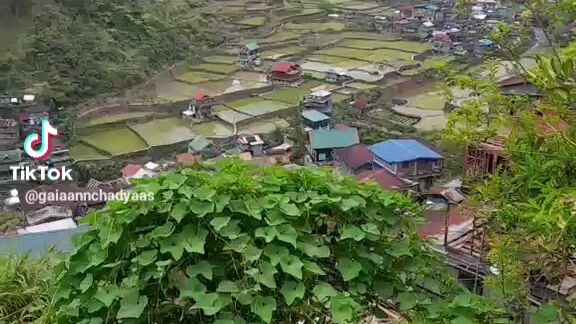 The view of Barlig