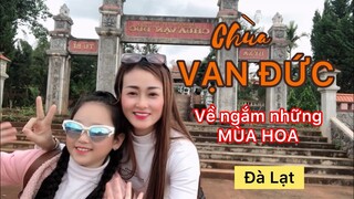 CHÙA VẠN ĐỨC - Về ngắm những mùa Hoa Đà Lạt|Chùa đẹp Đà Lạt.